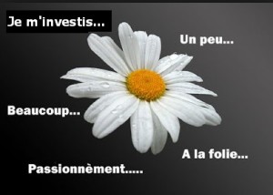 marguerite